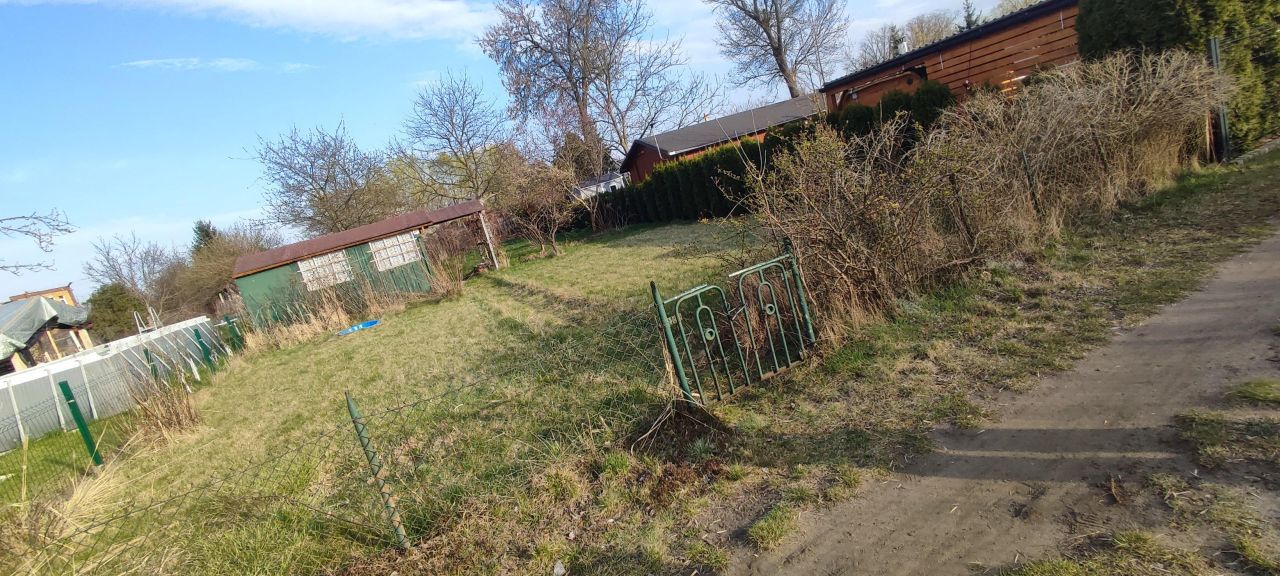 Działka rod Nowa Sól Centrum, brzozowa. Zdjęcie 4