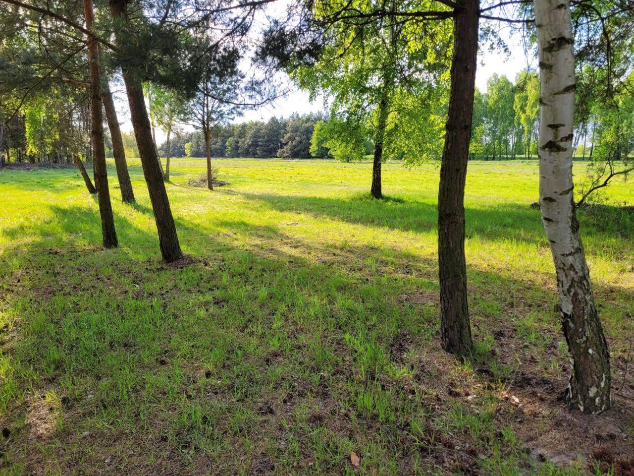 Działka budowlana Konary, ul. Brzozowa. Zdjęcie 7