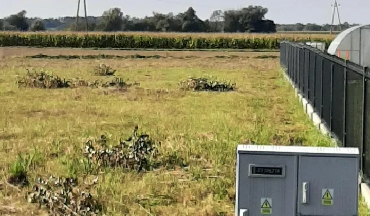 Działka budowlana Mijakowo