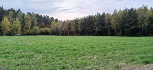 Działka rolno-budowlana Wilamów-Parcela. Zdjęcie 1