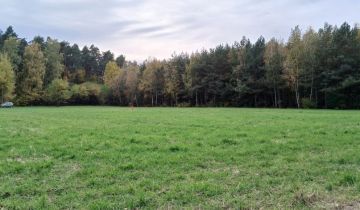 Działka rolno-budowlana Wilamów-Parcela