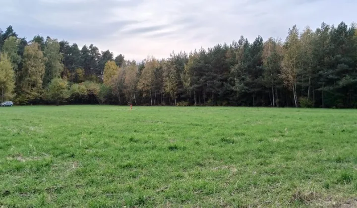 Działka rolno-budowlana Wilamów-Parcela