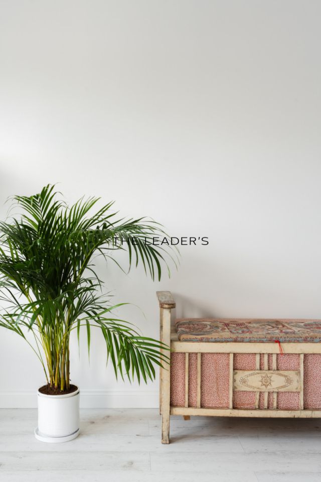 Mieszkanie 2-pokojowe Warszawa Praga-Południe, ul. Grochowska. Zdjęcie 4