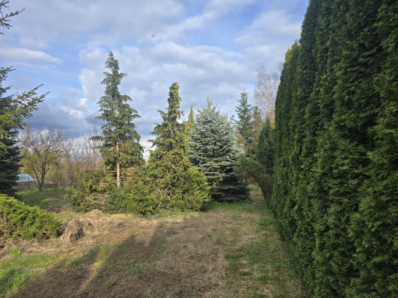 dom wolnostojący, 2 pokoje Włodawa Śródmieście, ul. Okunińska. Zdjęcie 7