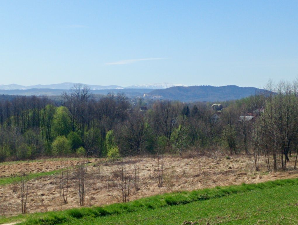 dom wolnostojący Przytkowice. Zdjęcie 2