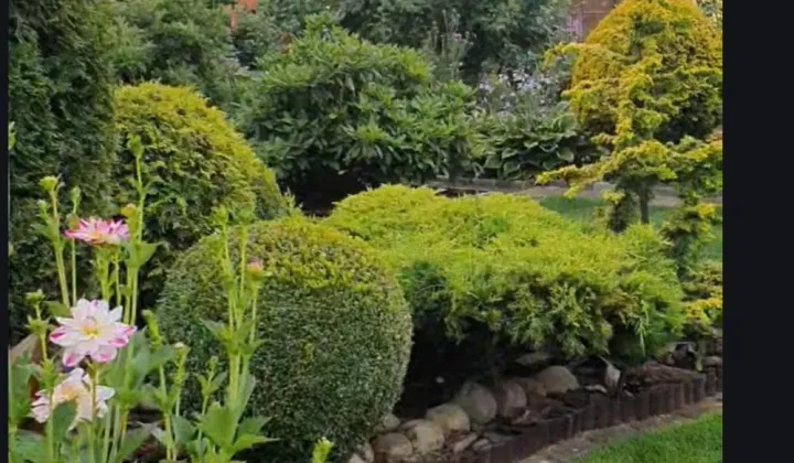 Działka rod Złotów, Jastrowska