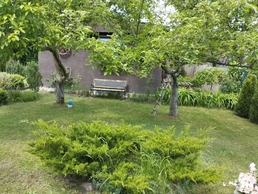 Działka rod Wałbrzych Podzamcze, al. Podwale. Zdjęcie 4