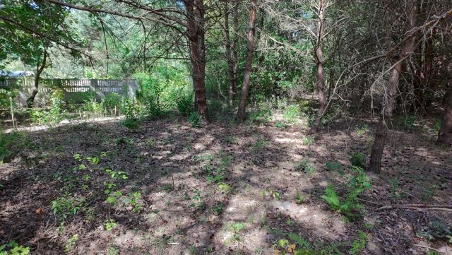 Działka budowlana Kady. Zdjęcie 10