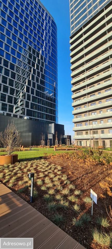 Mieszkanie 2-pokojowe Katowice Śródmieście, ul. Zabrska. Zdjęcie 3