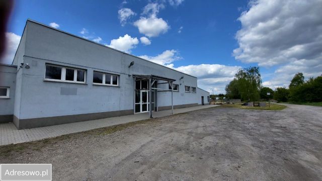 Lokal Gryfino, ul. Łużycka. Zdjęcie 1