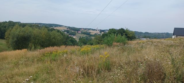 Działka budowlana Stasiówka. Zdjęcie 1