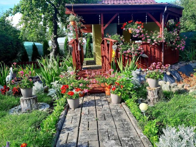 Działka rod Myślibórz. Zdjęcie 1