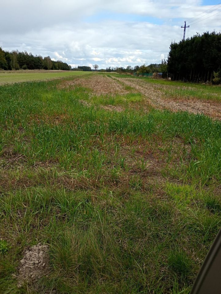 Działka budowlana Rozkopaczew. Zdjęcie 5