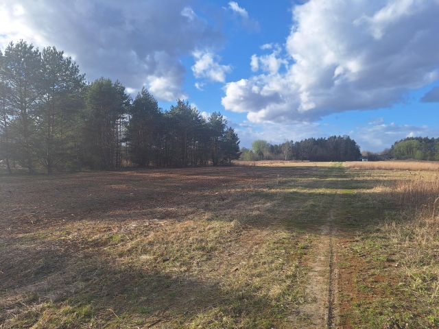 Działka inwestycyjna Żanęcin, Biesiadna. Zdjęcie 1