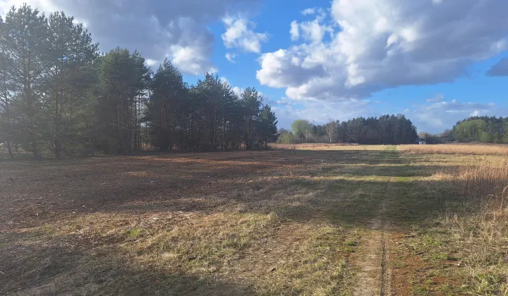 Działka inwestycyjna Żanęcin, Biesiadna