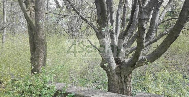 Działka budowlana Piastów. Zdjęcie 2