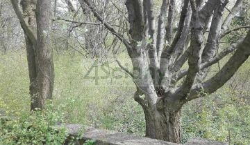 Działka budowlana Piastów