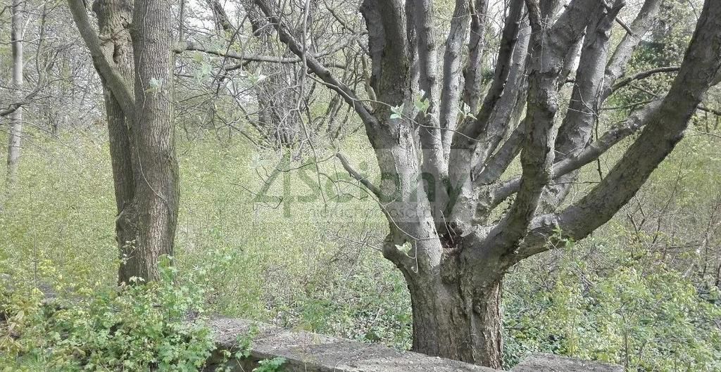 Działka budowlana Piastów. Zdjęcie 2