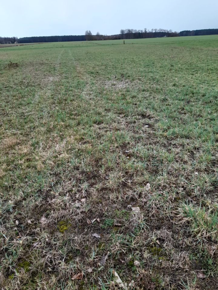 Działka rolno-budowlana Nowy Strachocin. Zdjęcie 3