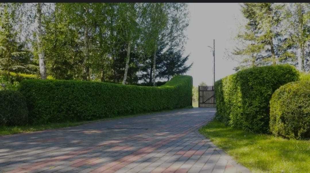 dom wolnostojący, 3 pokoje Dobrzany. Zdjęcie 7