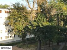 Mieszkanie 2-pokojowe Warszawa Bielany, ul. Antyczna. Zdjęcie 3