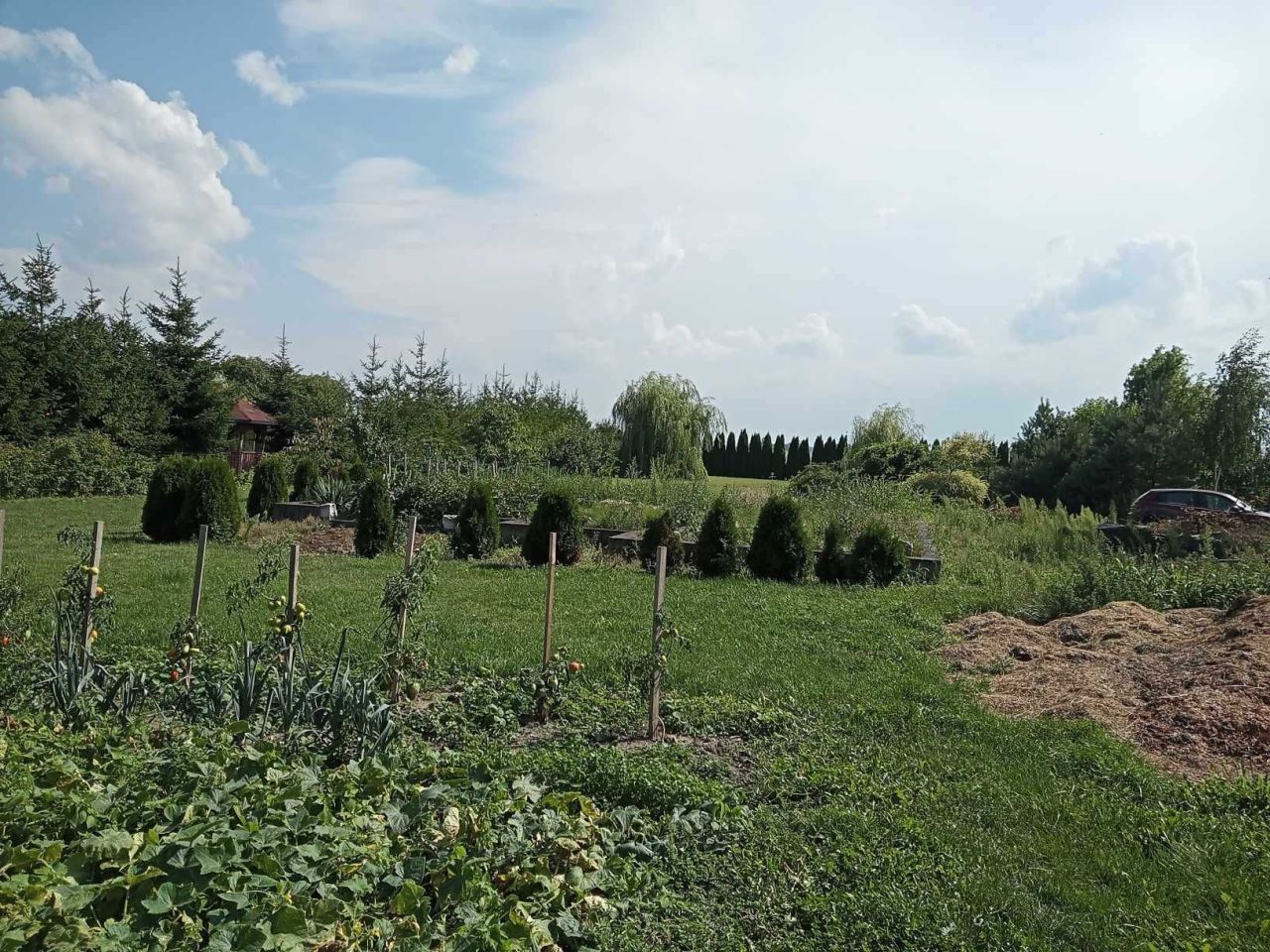 Działka budowlana Wierzbowo. Zdjęcie 3