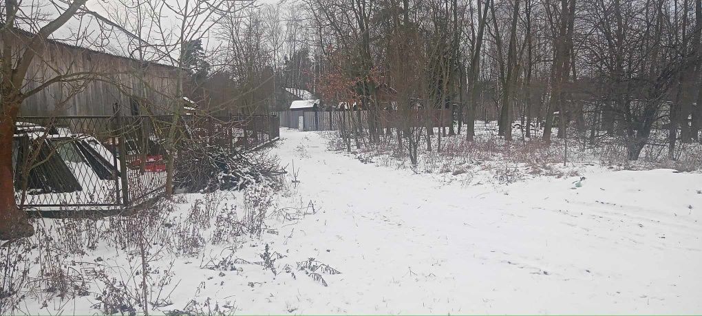 Działka rolno-budowlana Korzeń. Zdjęcie 6