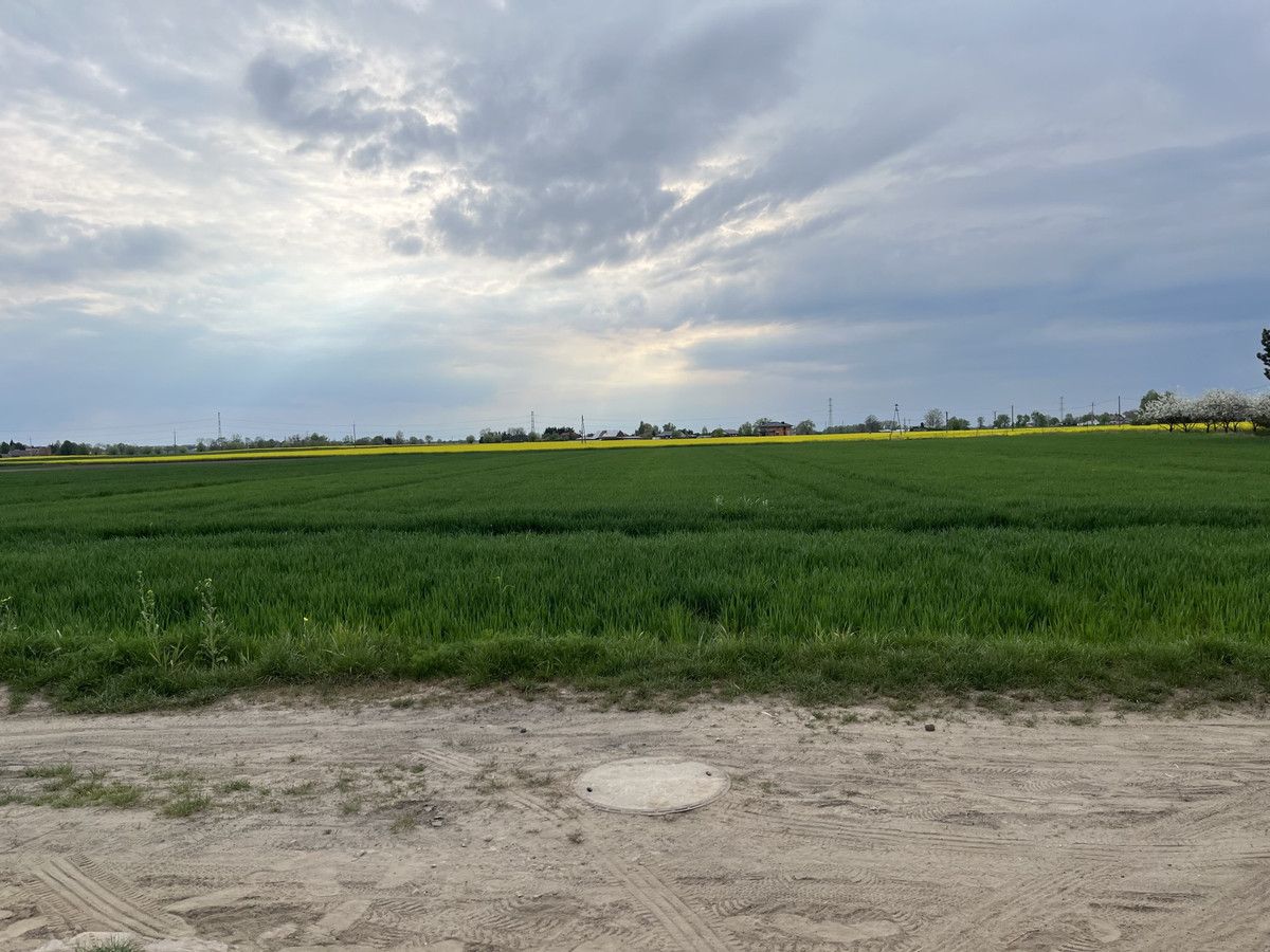 Działka rolna Mrowino, ul. Polna. Zdjęcie 4