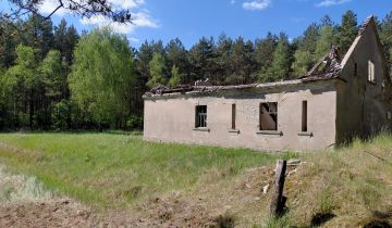 Działka rolno-budowlana Pąchy