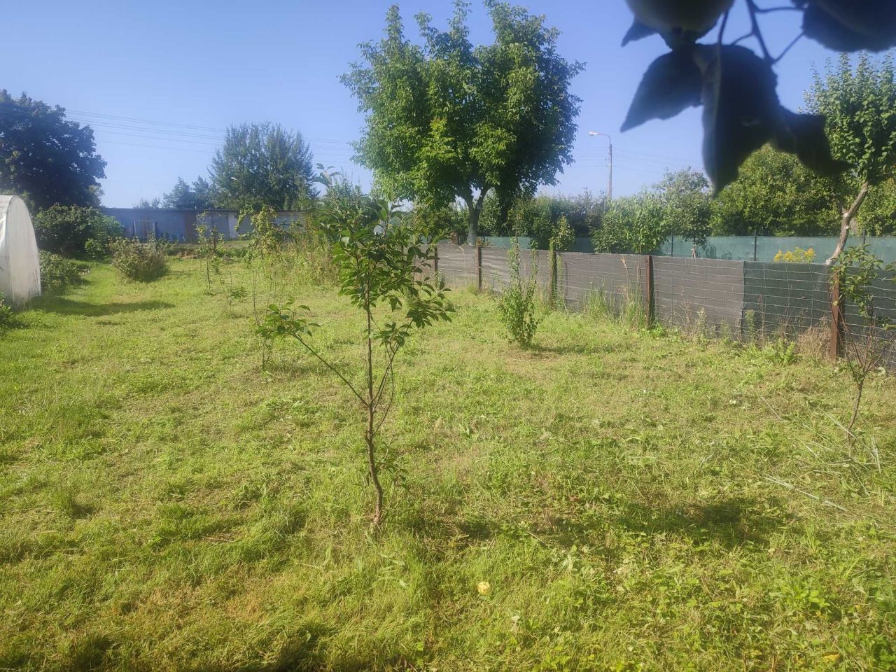 Działka rod Oleśnica Lucień, ul. Gliniana