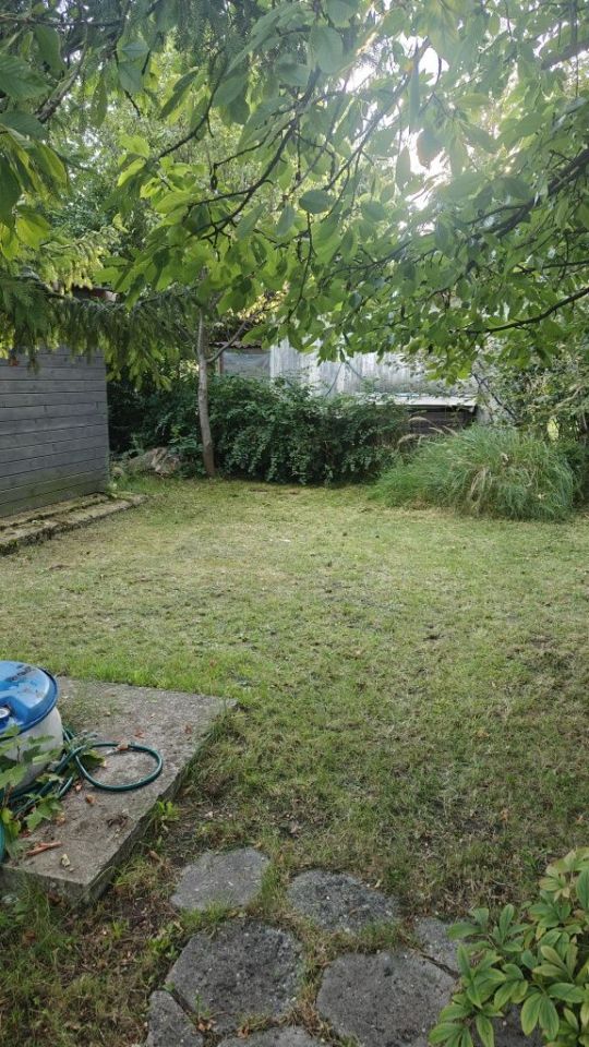 Działka rod Sosnowiec. Zdjęcie 7