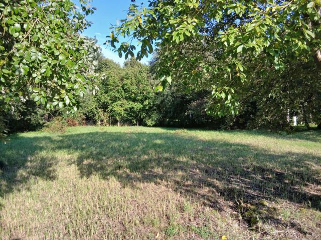 Działka rolno-budowlana Bartoszkowo. Zdjęcie 1