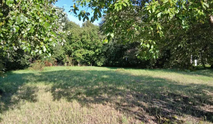 Działka rolno-budowlana Bartoszkowo