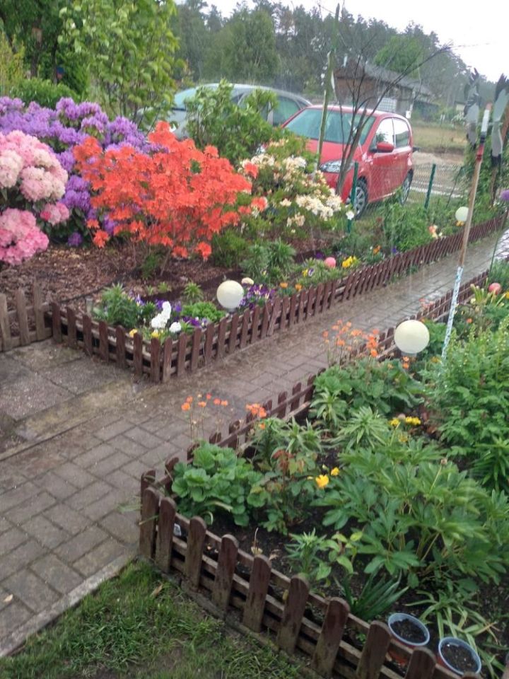 Działka rod Zielona Góra Nowy Kisielin. Zdjęcie 7