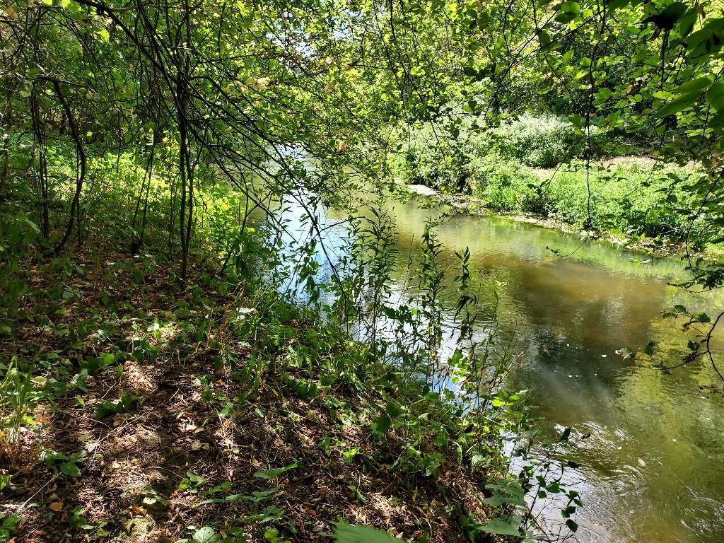 dom wolnostojący, 3 pokoje Skarbka Bidzińszczyzna, Bidizńszczyzna. Zdjęcie 16