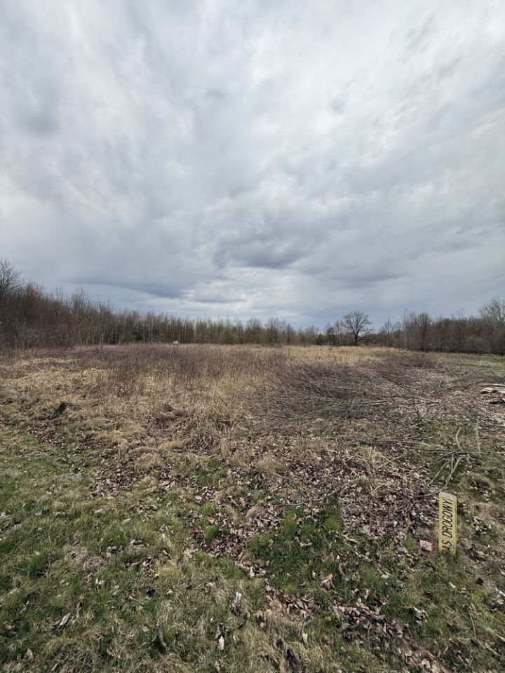 Działka budowlana Lipinki Łużyckie, ul. Żarska. Zdjęcie 5