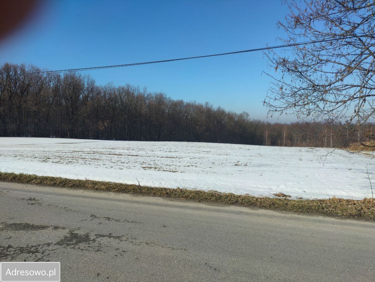 Działka budowlana Celiny. Zdjęcie 11