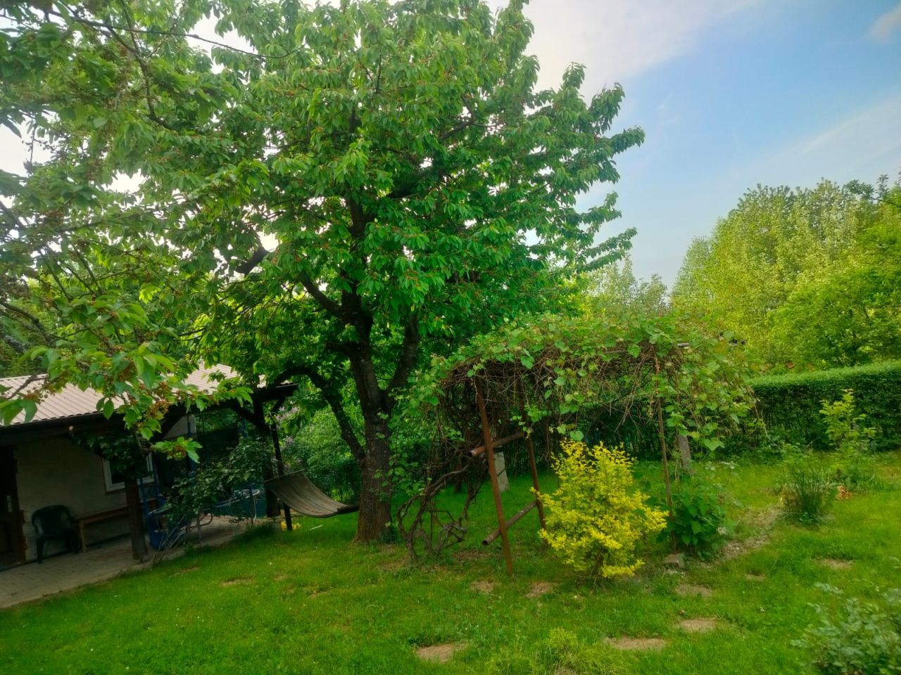 Działka rod Bochnia. Zdjęcie 3