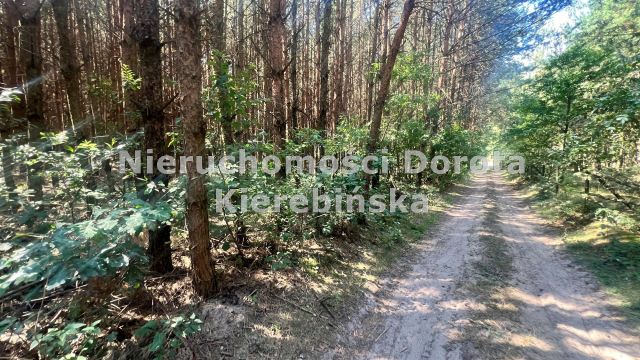 Działka rolna Wale. Zdjęcie 9