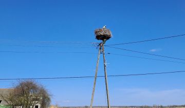 Działka rolno-budowlana Szczerbaków