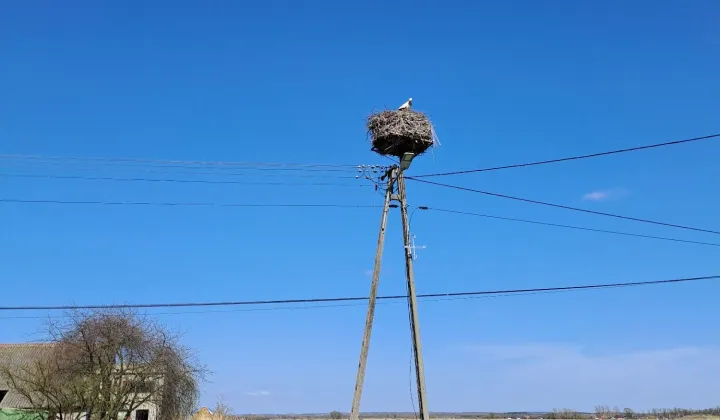 Działka rolno-budowlana Szczerbaków