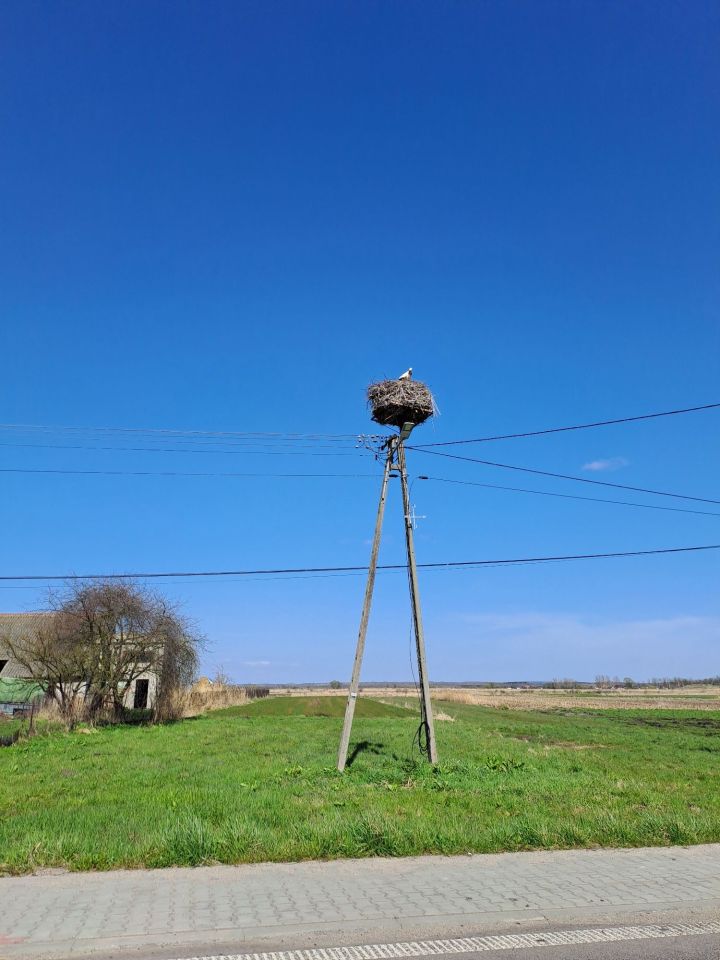 Działka rolno-budowlana Szczerbaków