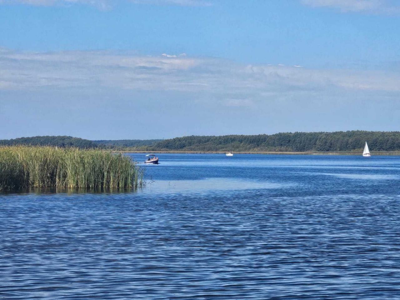 Działka rekreacyjna Radzyń. Zdjęcie 8