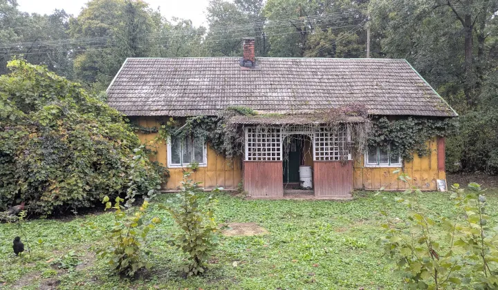 gospodarstwo Wacławice