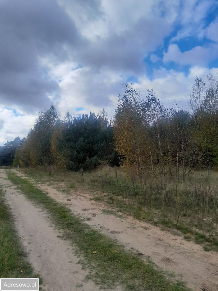 Działka budowlana Nekielka. Zdjęcie 3