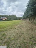Działka budowlana Stare Osieczno. Zdjęcie 4