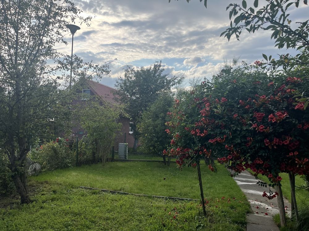 Działka rod Gdańsk Stogi. Zdjęcie 6