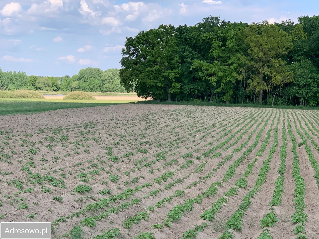 Działka budowlana Mielno. Zdjęcie 7