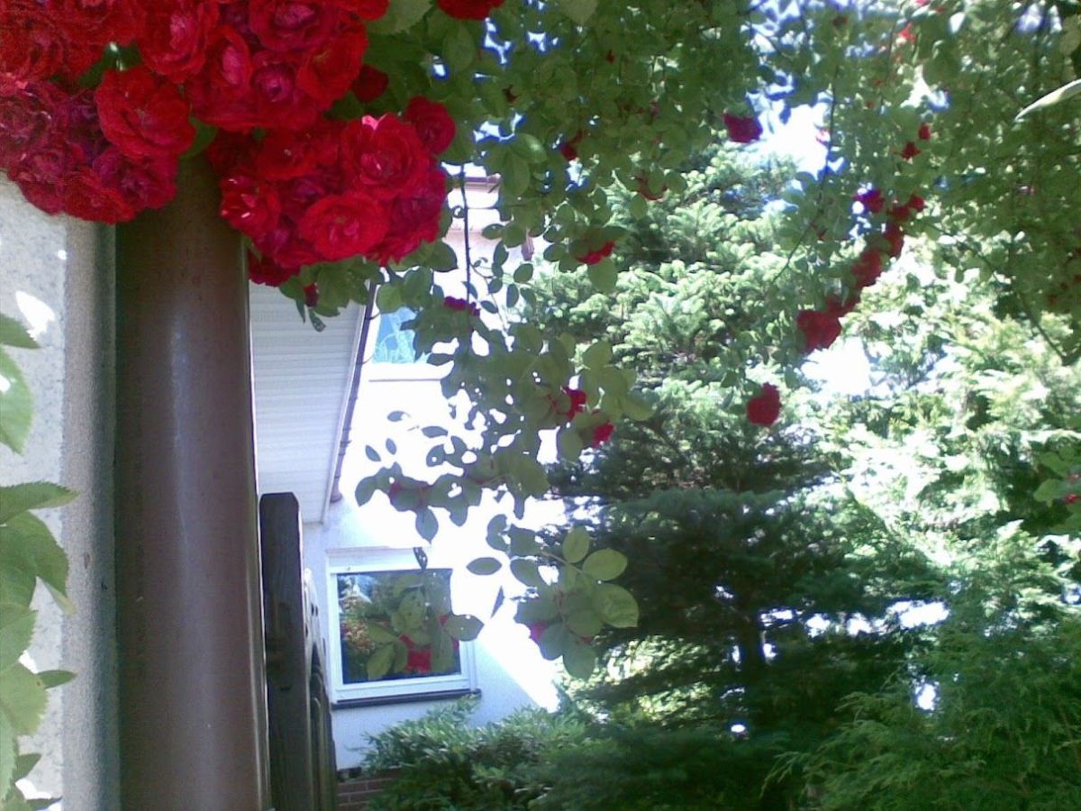 dom szeregowy, 4 pokoje Złotniki. Zdjęcie 5