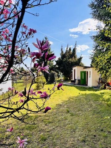 Działka rod Piekary Śląskie. Zdjęcie 1